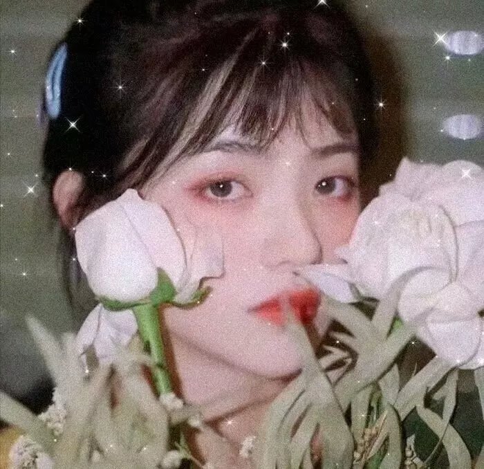 蜘蛛夫人